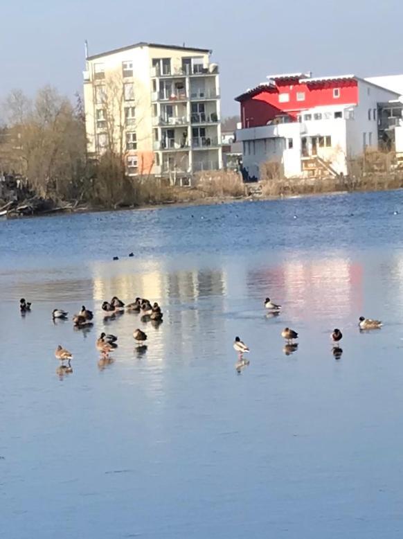 Seehotel Forst Forst  Buitenkant foto